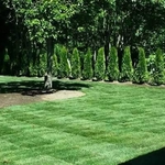 New sod and Irrigation