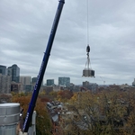 crane