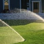 lawn sprinklers