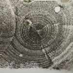 Mold Inspection,