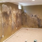 Flood job gone wrong