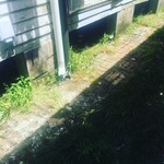 Shotgun Side Yard "After"