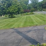 Patio and lawns