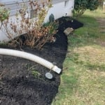 Patio and lawns