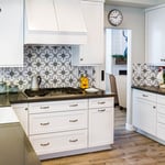 Cabinet Painting