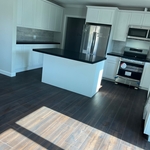 Kitchen remodel