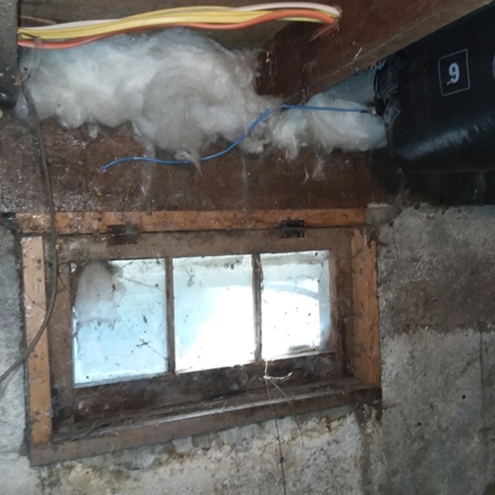 Window repairs