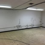 OUR WORK