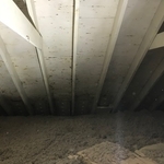 Attic Mold Removal After