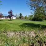 Mowing