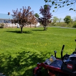 Mowing