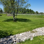 Mowing