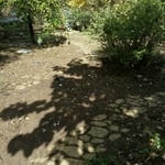 Any type flower bed we can handle