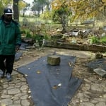 Flower beds cleaning