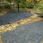 Flower beds cleaning