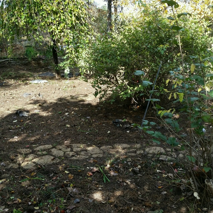 Flower beds cleaning