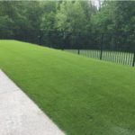 SYNLawn