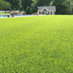 SYNLawn