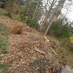 Yard Work