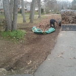 Leaf Removal