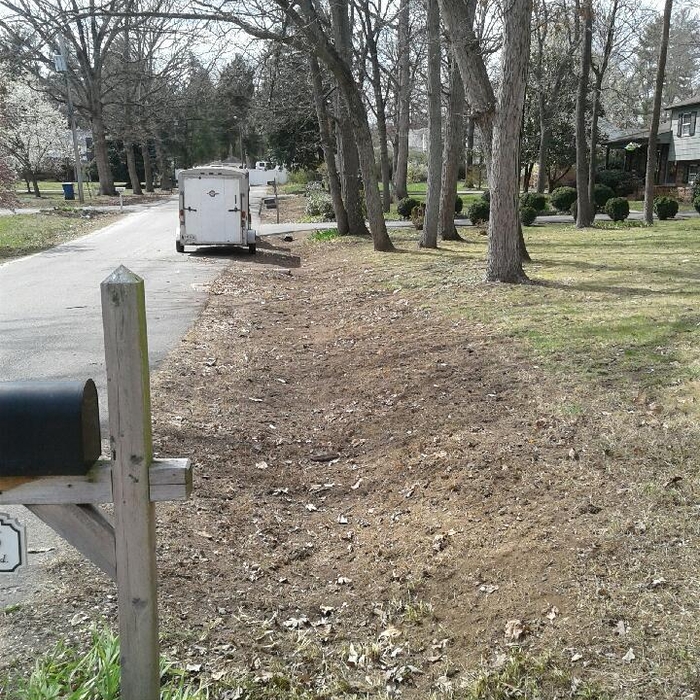 Yard Leaf Removal