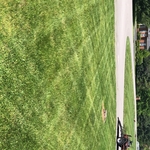 Front yard Andrew H