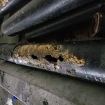 Rotted pipe