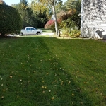 OUR WORK