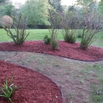 Lawn care