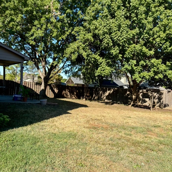 Tree trimming