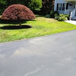 lawn maintenance