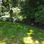 lawn maintenance