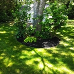 Maintenance & mulch