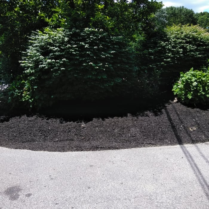 Mulch