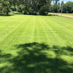 Lawn Mowing