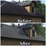 Roof Cleanng