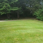 OUR WORK