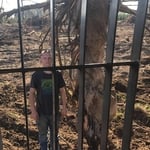 Alachua tree nursery