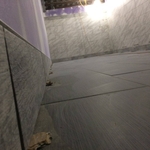 OUR WORK