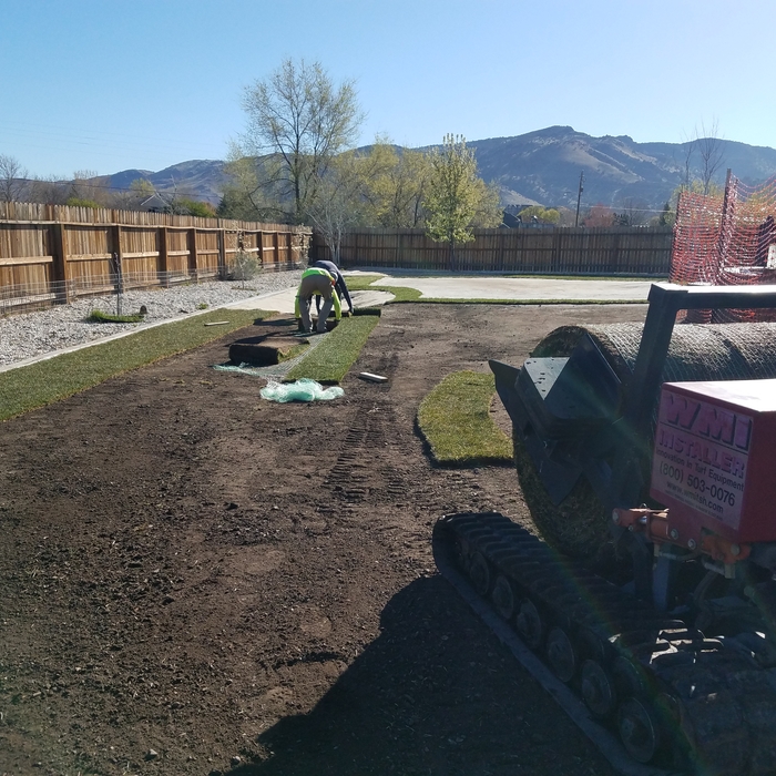 Laying fairway sod