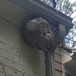 Giant Wasp Nest