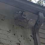 Wasp Nest Gone