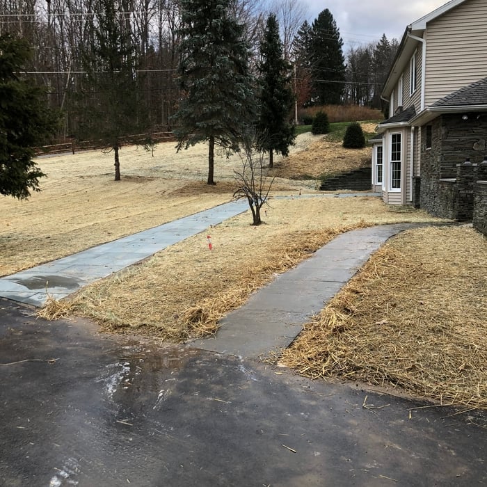 Bluestone sidewalks