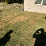 New sod installed