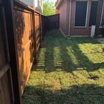 New Sod Installed