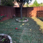 New sod installed