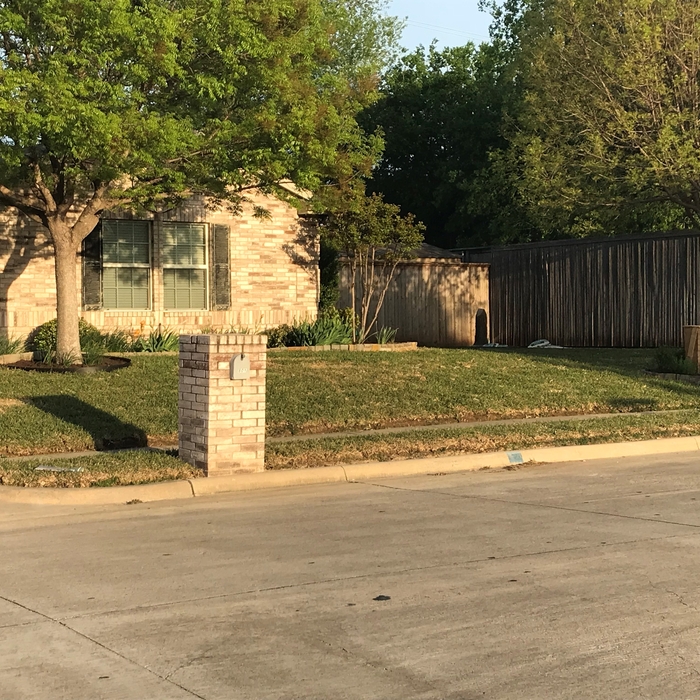 New sod installed