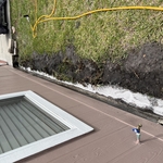 Termite Treatment