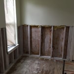 Mold Remediation