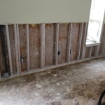 Mold Remediation